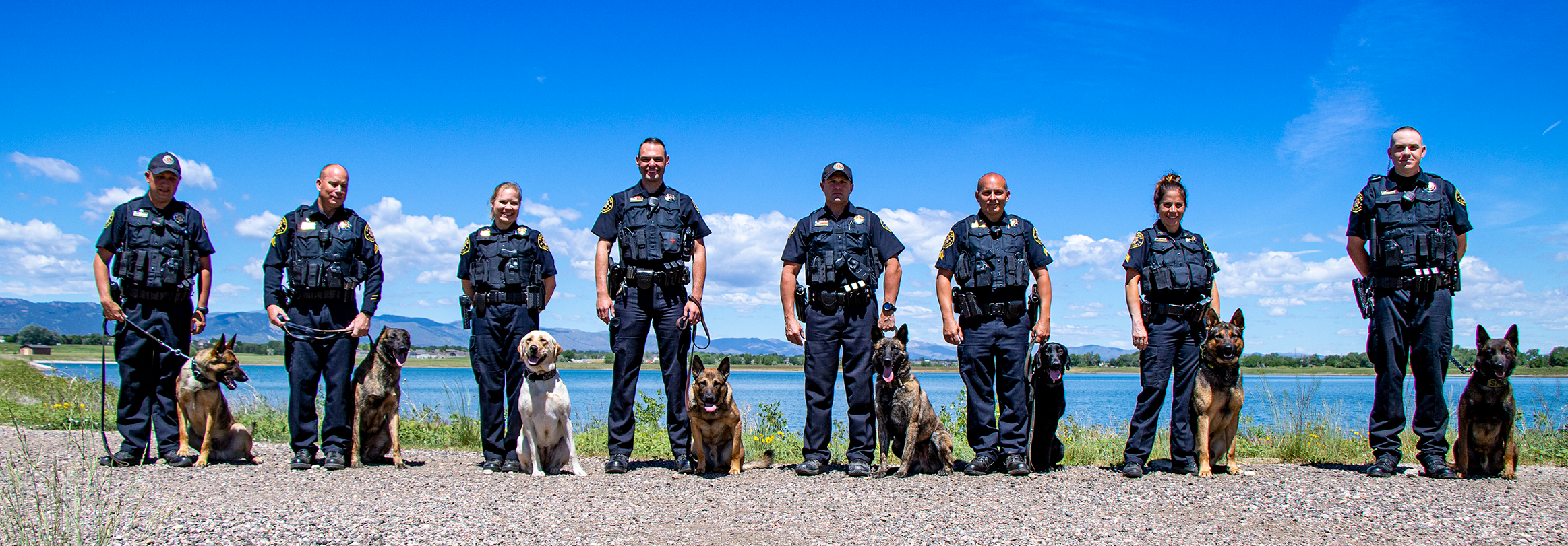 Police 9. Отряд k-9. K-9 Unit. K9 Россия. CHP k9.