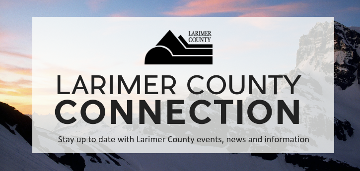 February 2019 link