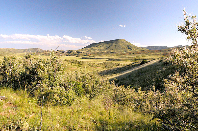 Red Mountain Open Space Larimer County