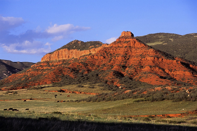 Red Mountain Open Space Larimer County