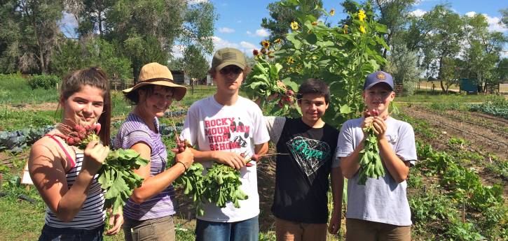 Small Grant Recipient The Growing Project