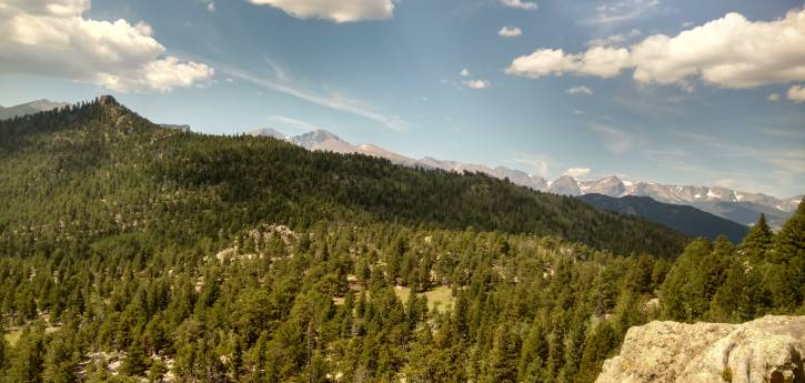 View from New Section of Limber Pine Trail
