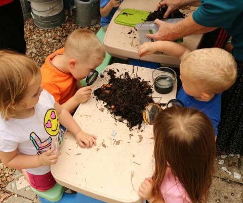 Toddler Time: Nature Wastes Nothing Workshop