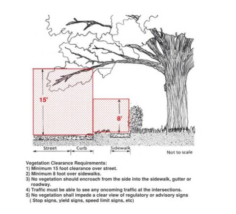 Vegetation Trimming Guidelines Vegetation Trimming Guidelines
