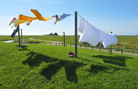 Clothesline Clothesline