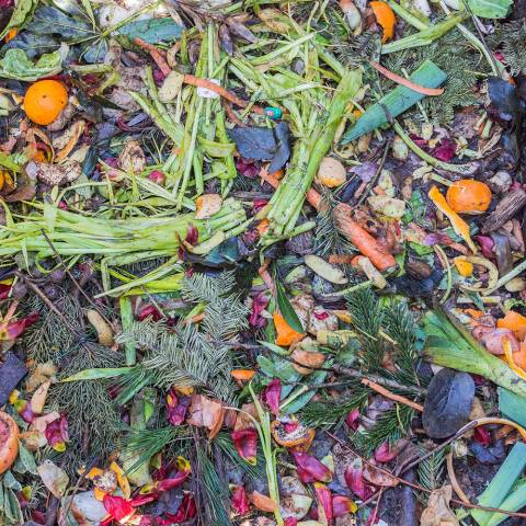 Compost Compost