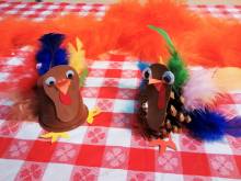 pavos pavos